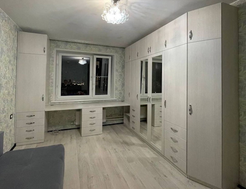 Рабочая зона модель r290 купить в Орехово-Зуево
